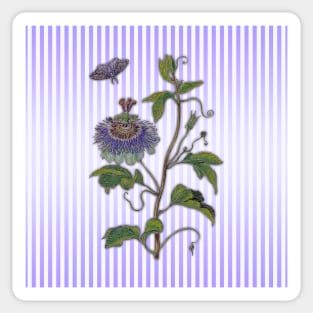 Merian: Passiflora Sticker